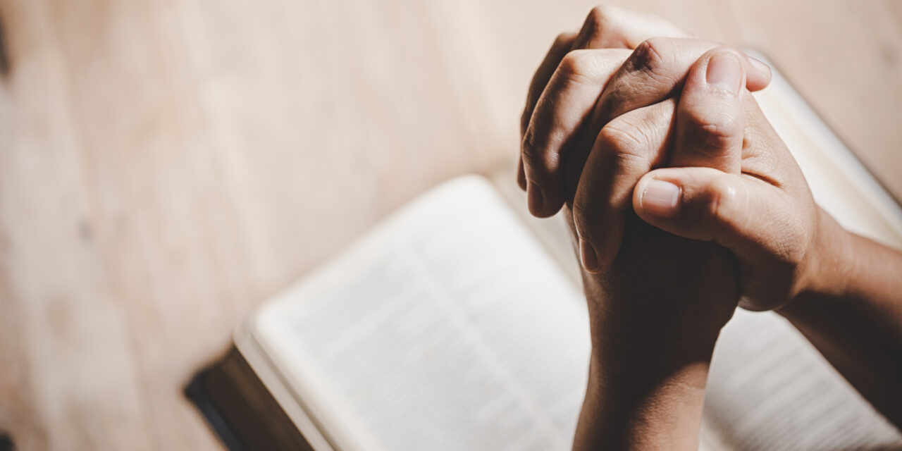 Diferencias entre Católicos y Protestantes: Origen, Creencias, Prácticas y Su Impacto